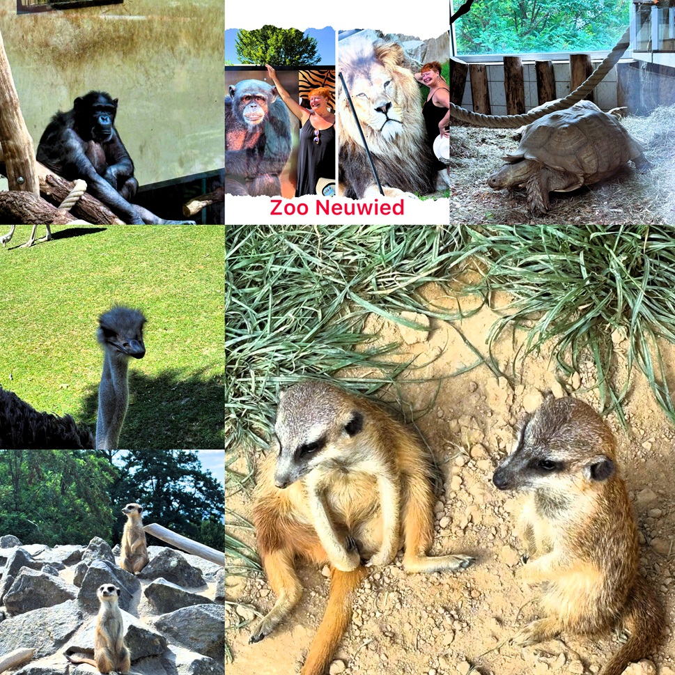 Zoo Neuwied